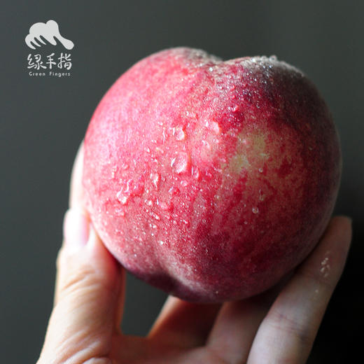 生态红桃（中通） | 合作生产 *Eco-red peach | Partner Production 商品图3