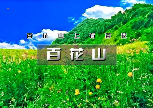 [团建]【百花山】漫山鲜花-无边草甸-栈道-云雾｜休闲登山一日游] 商品图0