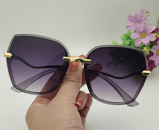 【美妆饰品】新款太阳眼镜墨镜 商品图0