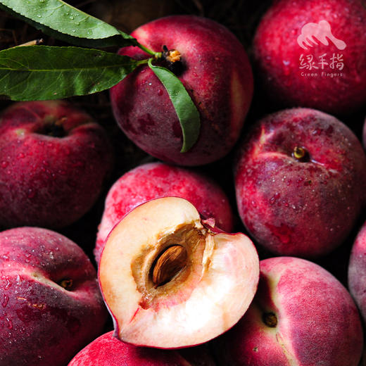 生态红桃（中通） | 合作生产 *Eco-red peach | Partner Production 商品图5