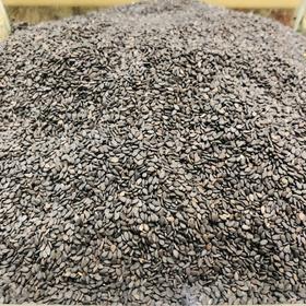 250g 散 瑞和泰 黑芝麻 ±5g散称南北货