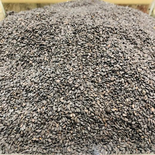 250g 散 瑞和泰 黑芝麻 ±5g散称南北货 商品图0