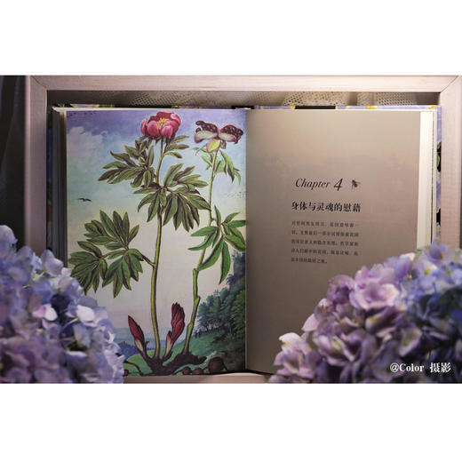 花园的欢沁：经典文学选集（全彩插图本） 商品图3