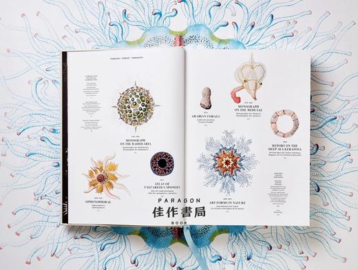 The Art and Science of Ernst Haeckel /恩斯特·海克尔 英文原版画册 大开本 / Taschen XXL 系列 商品图5