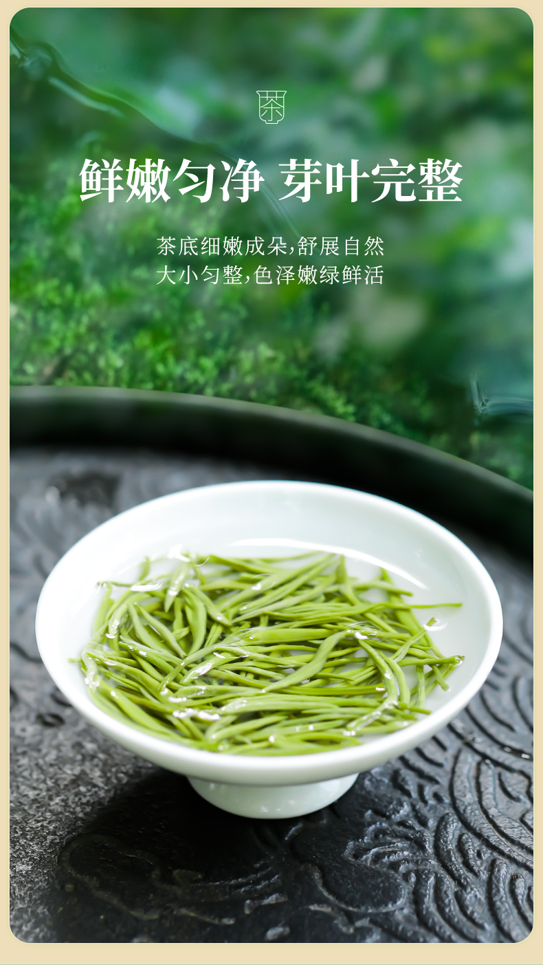 【臻尖-小雅】新茶明前嫩芽毛尖绿茶雅安蒙顶山茶叶250g罐装