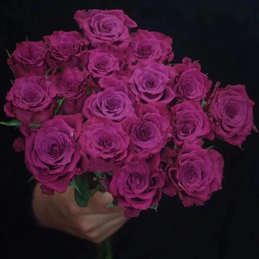 【AB级稀有蓝莓多头玫瑰·第二件减10元】5支/份    长约60cm 商品图6