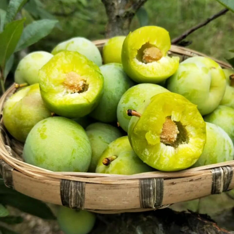 【尝鲜甄选】四川青脆李脱骨李脆甜爽口 儿时的味道