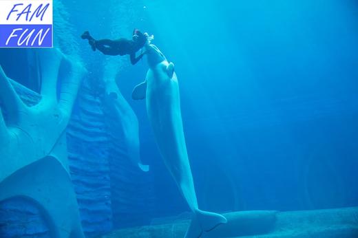 三亚亚特兰蒂斯酒店 商品图1