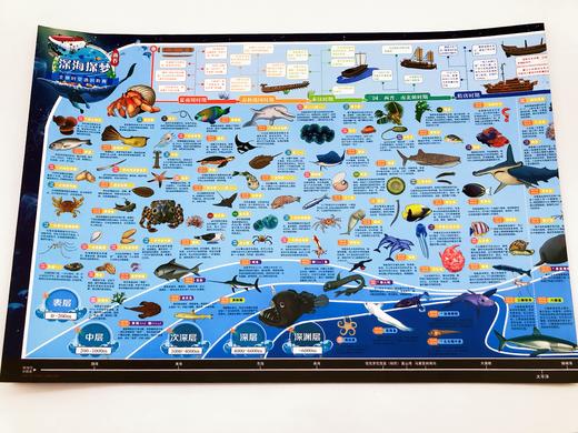 给孩子的全景大科普  6-15岁 192卡牌游戏706个知识点700余幅手绘图谱 商品图4