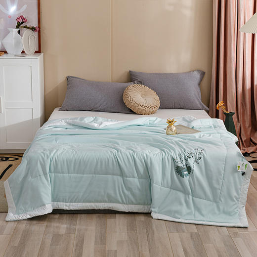 【艾草驱蚊夏凉被】艾草纤维夏凉被 纯色被子烫花款亲肤棉空调被 可机洗 商品图2