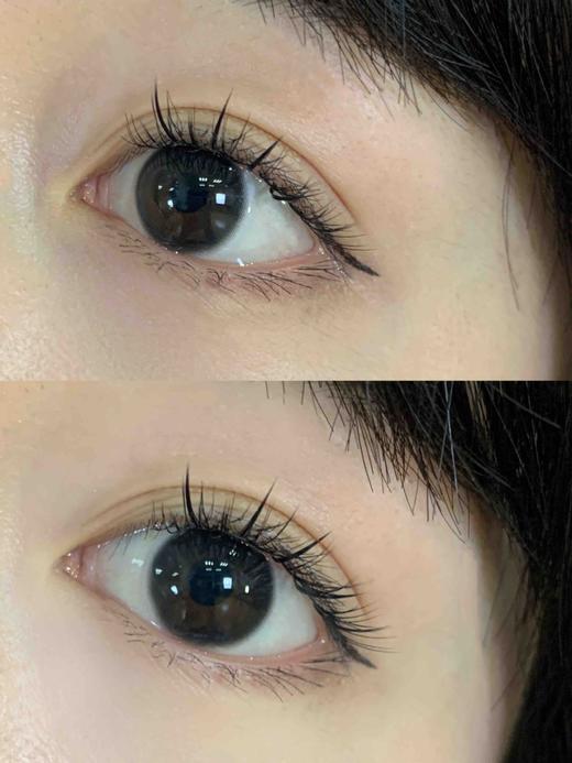 年抛 Truecon 烧仙草 14.0 着色13.0 编号300 商品图2