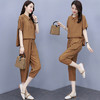 AHM- xde1445 冰丝麻套装女2021夏季新款休闲天丝棉亚麻T恤衫七分萝卜裤两件套 商品缩略图1