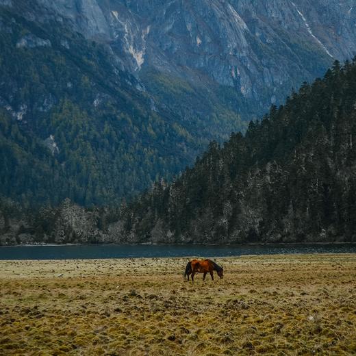 【五一丨藏彝走廊环线5日】（5.1-5）来到藏彝走廊，一起畅游康巴秘境、海子雪山！ 商品图3