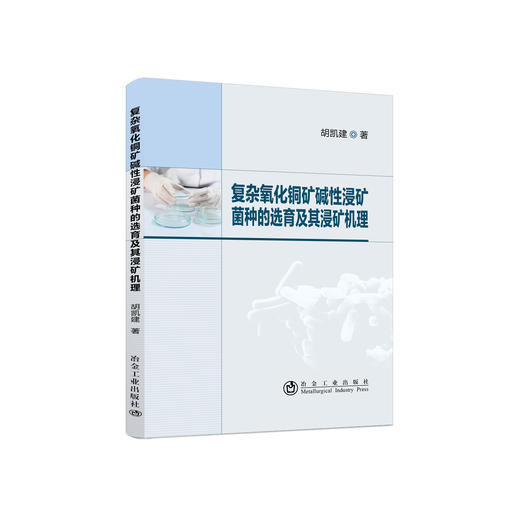 复杂氧化铜矿碱性浸矿菌种的选育及其浸矿机理/胡凯建 商品图0