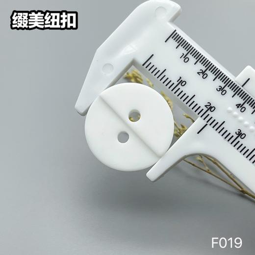 F019(整包购买) 商品图9