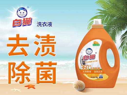 【19.5/桶】白猫阳光甜橙洗衣液3kg(1001773) 商品图1