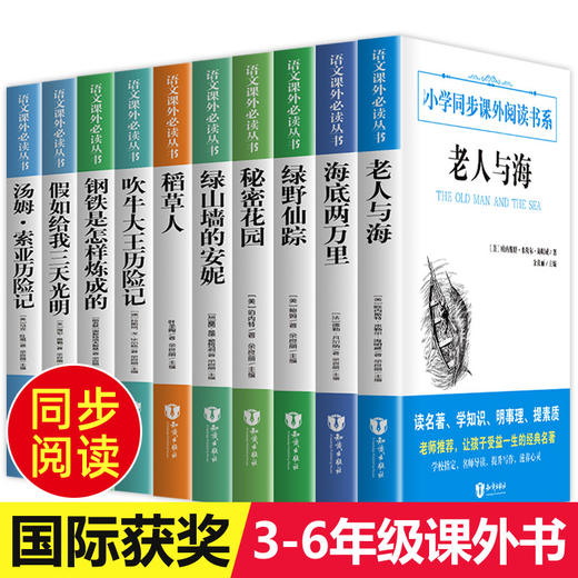 小学生课外阅读书全套10册老人与海/绿山墙的安妮/海底两万里/秘密花园/绿野仙踪/钢铁是怎样炼成的三四五六年级必读畅销经典书目 商品图0