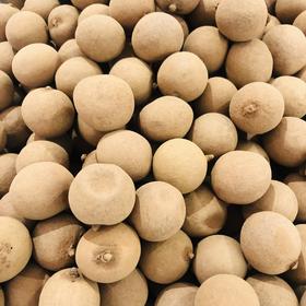 250g 散称 瑞和泰 精品 莆田桂圆 ±5g散称南北货