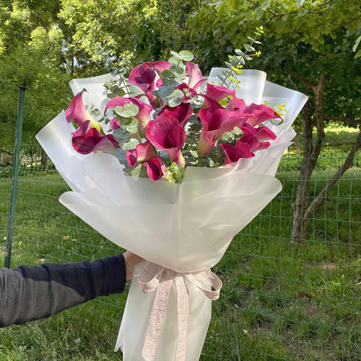 在你身边（海芋） 商品图0