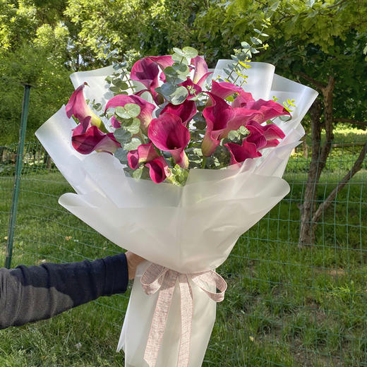 在你身边（海芋） 商品图3