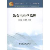 冶金电化学原理(本科)\唐长斌