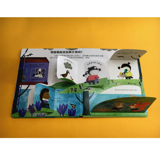 你问我答科普翻翻书·怎么样 系列（第二辑）为什么会有死亡？ 商品图2