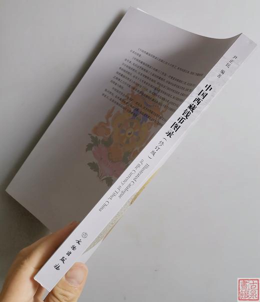中国西藏钱币图录 商品图13