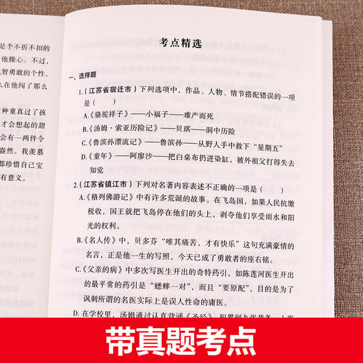 小学生课外阅读书全套10册老人与海/绿山墙的安妮/海底两万里/秘密花园/绿野仙踪/钢铁是怎样炼成的三四五六年级必读畅销经典书目 商品图3