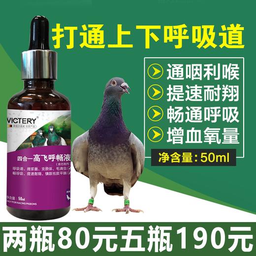 【四合一高飞呼畅液】50ml，微浆菌支衣原体呼吸道清理张口甩鼻打喷嚏流泪（德国汉诺威） 商品图0