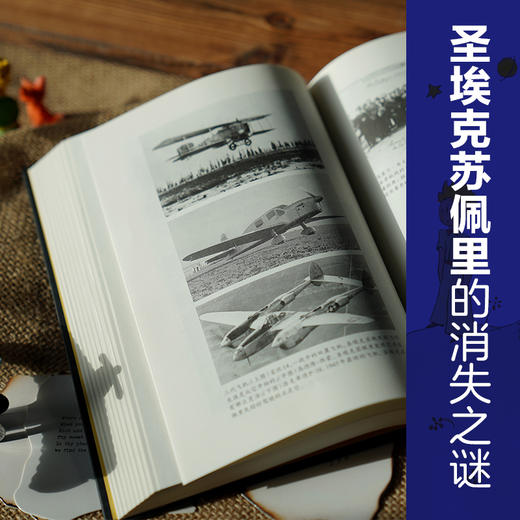 小王子的星辰与玫瑰：圣埃克苏佩里传 商品图4