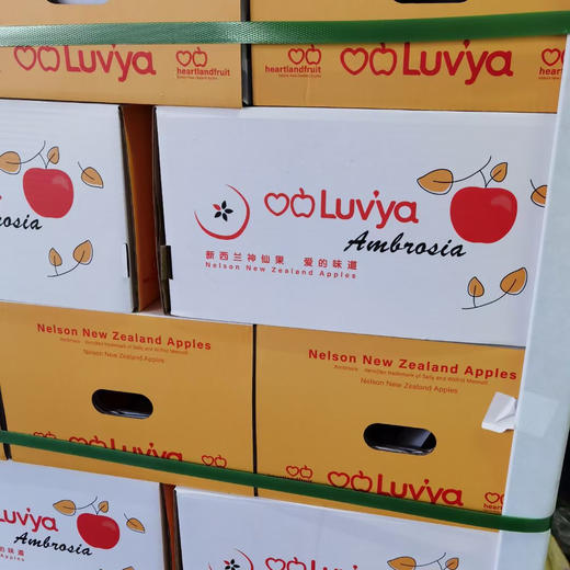 新西兰神仙果‼️‼️一款内外兼修的苹果🍎果香阵阵，浓郁诱人，充沛的汁水加上脆嫩的果肉，甜蜜蜜没有一丝酸味，爽脆鲜甜的体验直击人心💕 商品图4