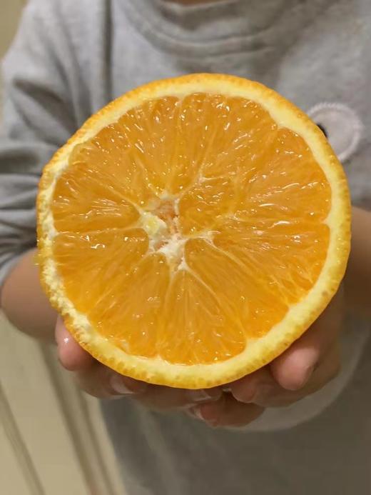 【9.9元2斤】伦晚甜橙（1500901） 商品图1