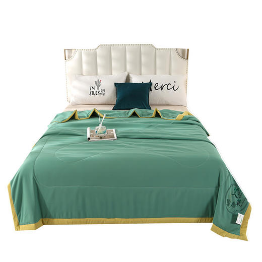 【艾草驱蚊夏凉被】艾草纤维夏凉被 纯色被子烫花款亲肤棉空调被 可机洗 商品图7