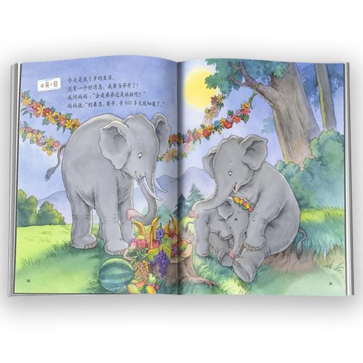 中少阳光图书馆 我的日记 小象的日记 适读年龄5-12岁 商品图4
