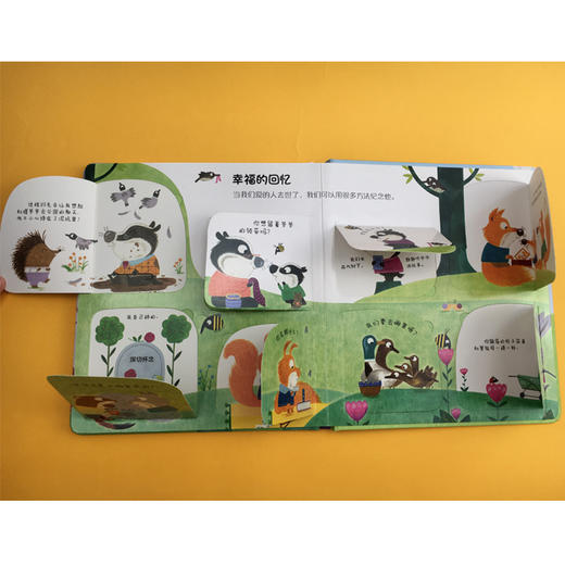 你问我答科普翻翻书·怎么样 系列（第二辑）为什么会有死亡？ 商品图3