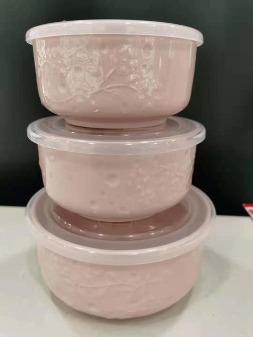 5F  隆昌瓷器  保鲜3入碗 商品图0