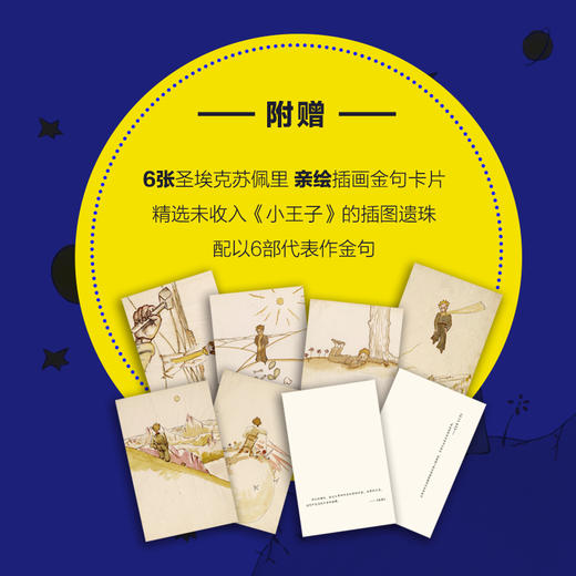 小王子的星辰与玫瑰：圣埃克苏佩里传 商品图8