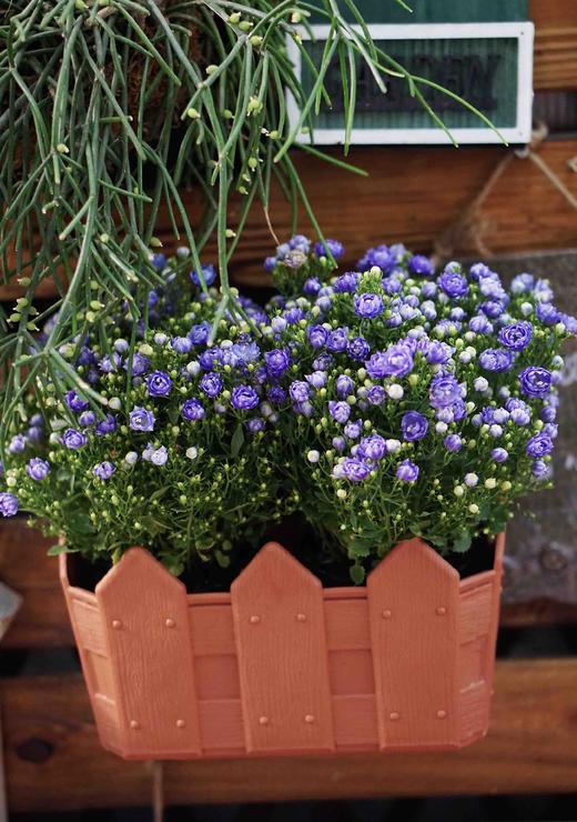 壁挂长方形栅栏加厚树脂塑料花盆 15～20（配有挂勾 ） 商品图0