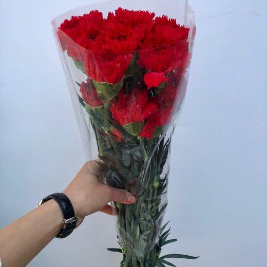 红色单头康乃馨一扎16支送4支冷链包邮