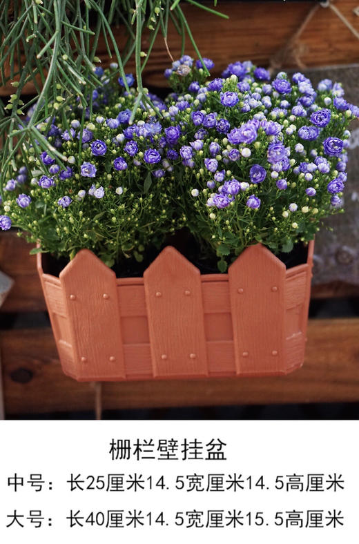 壁挂长方形栅栏加厚树脂塑料花盆 15～20（配有挂勾 ） 商品图2