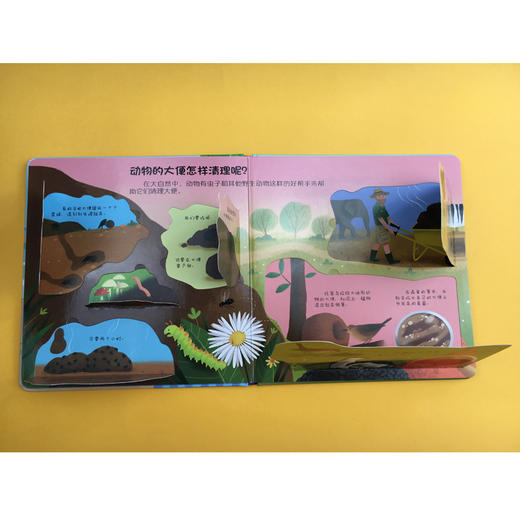 你问我答科普翻翻书·怎么样 系列（第二辑）大便去哪儿了？ 商品图4