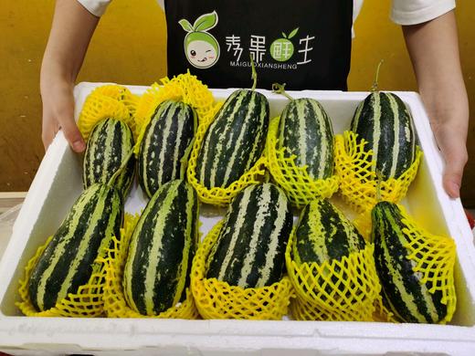 博洋9号一箱 商品图0