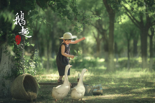 《鹅趣》 商品图0