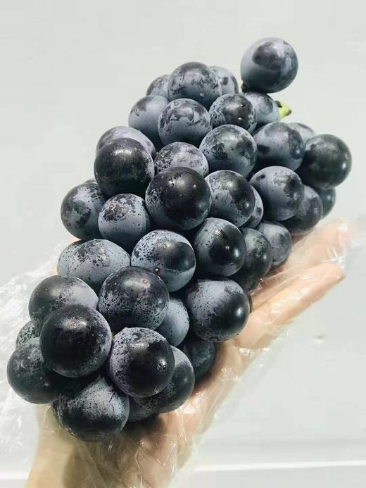 云南夏黑无籽葡萄4斤箱礼盒装被誉为东方黑珍珠自然生长树熟颗粒均匀