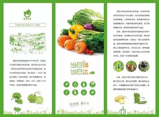 蔬菜种植 油菜、油麦菜、胡萝卜、西红柿、小白菜等常吃菜（250克） 商品图1