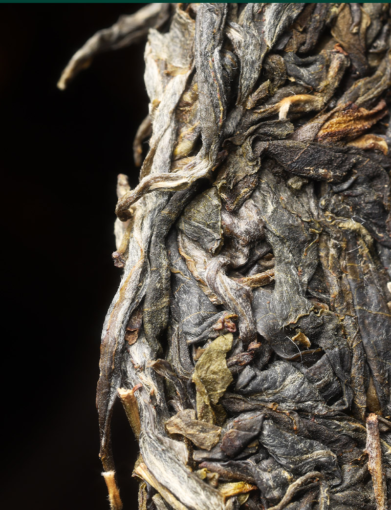 131     皇帝喝的茶！困鹿山皇家贡茶园300年古树2021年春茶！160元买一送一，拍3发7！！