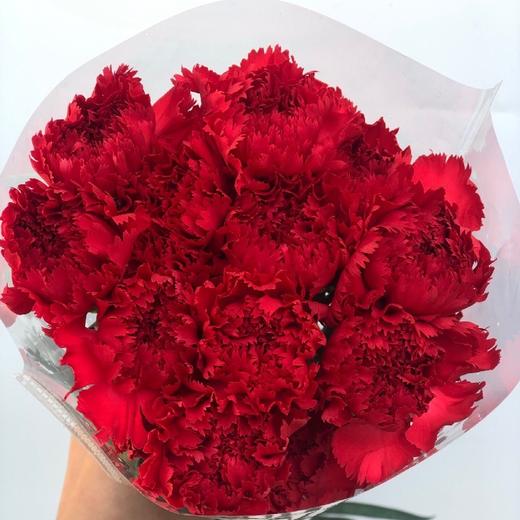 红色单头康乃馨一扎16支送4支冷链包邮