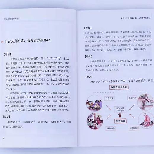 彩色图解《黄帝内经》 商品图4