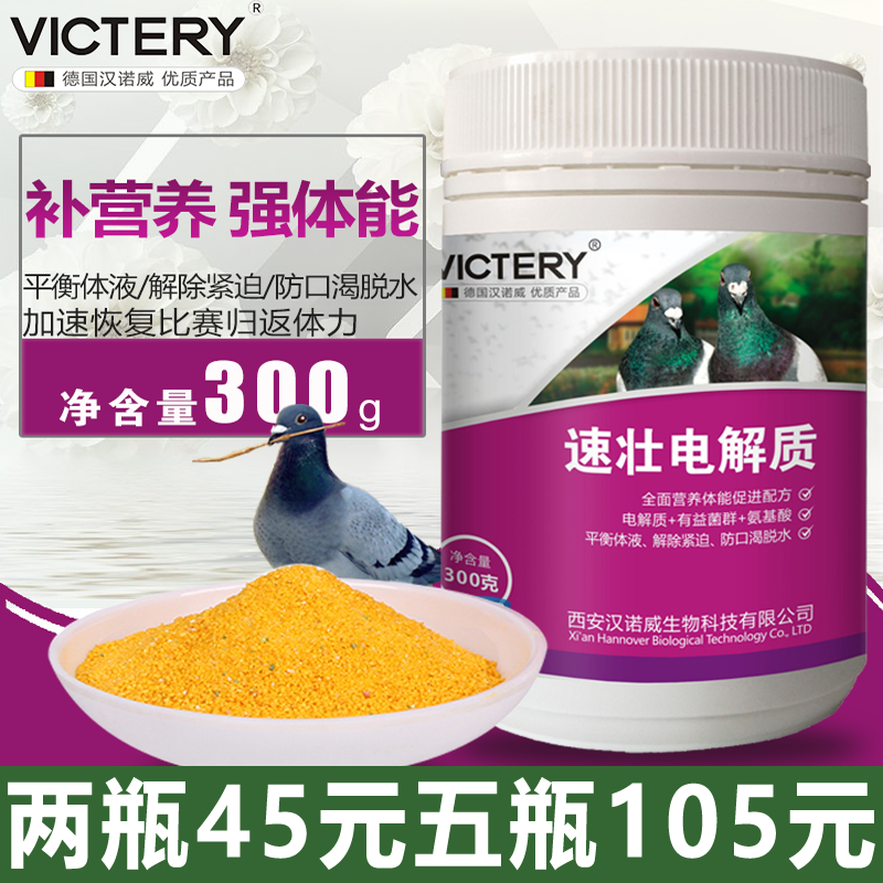 【速壮电解质】新版300g，鸽用电解质,赛鸽保健多维电解质（德国汉诺威）