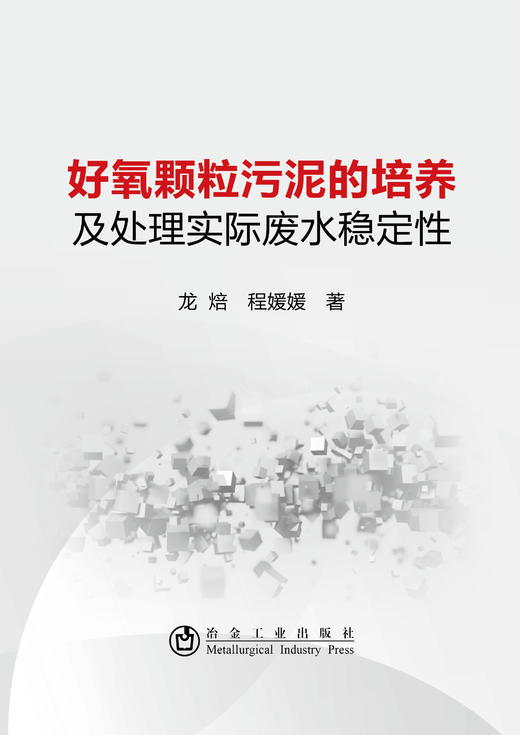 好氧颗粒污泥的培养及处理实际废水稳定性/龙焙  程媛媛 商品图0